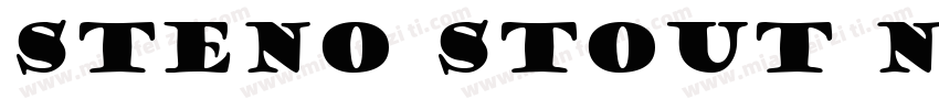 Steno Stout NF Regular字体转换